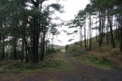 Afan Forest - The Rain Has Stopped!